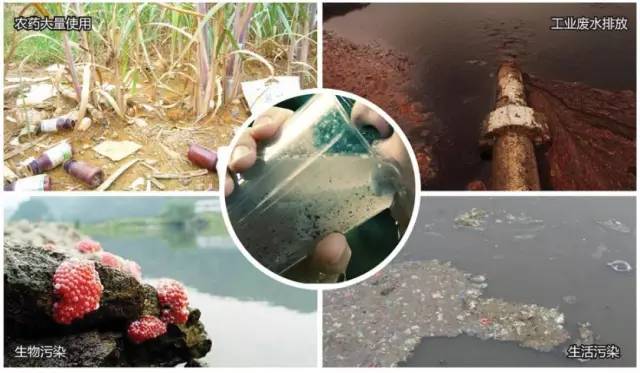 告別硬水之憂！化學(xué)肥料時(shí)代的凈水器選購指南